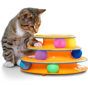 Cat Toys