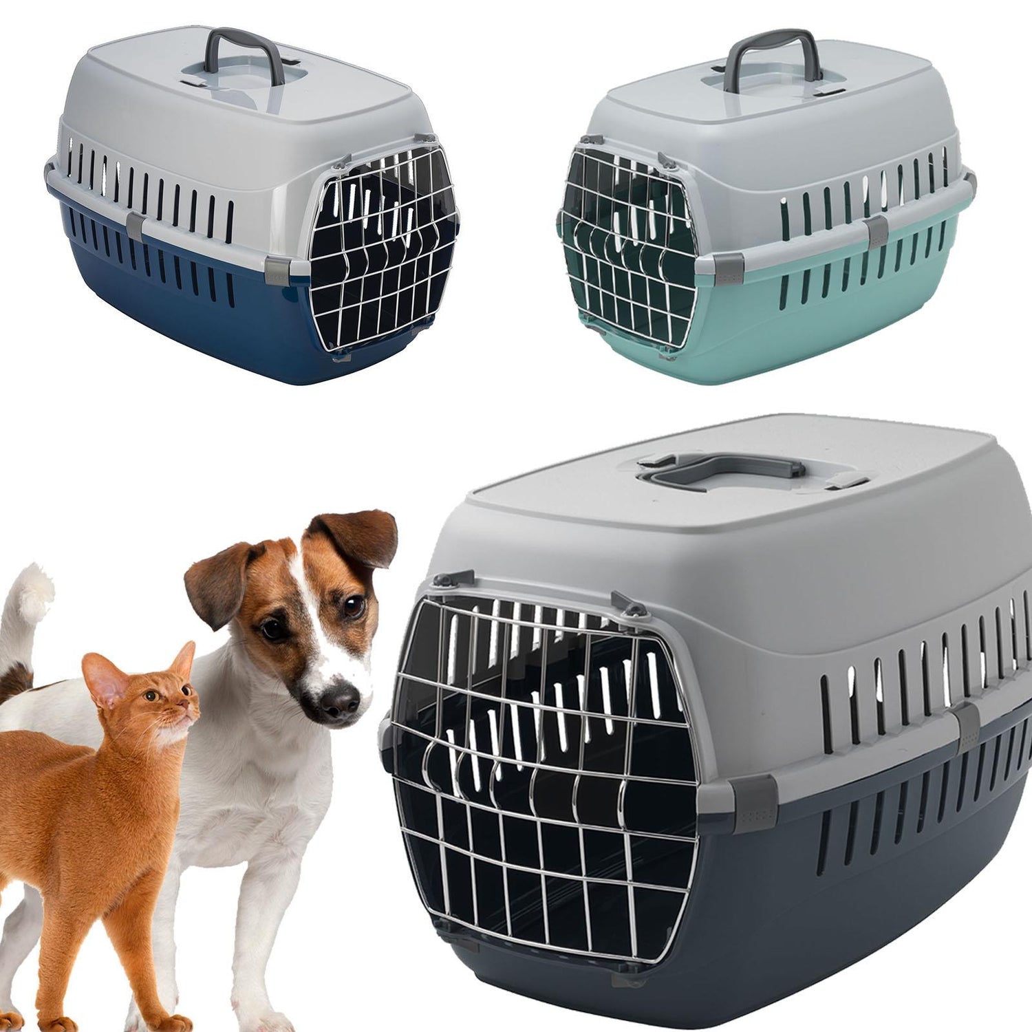 Pet Transportations