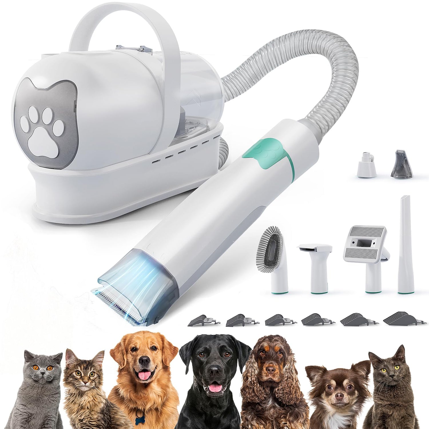 Pet Grooming Supplies