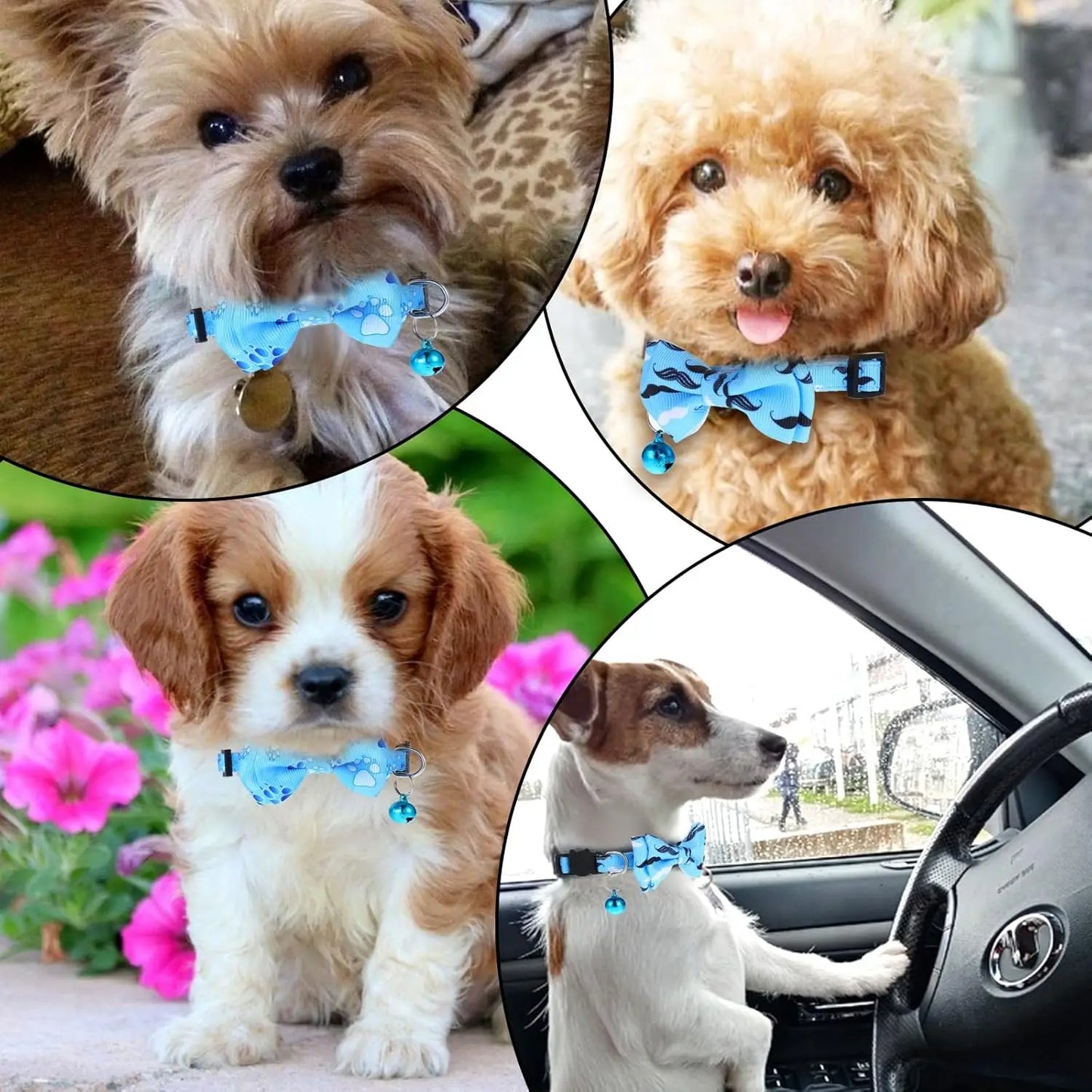 2 Pack Breakaway Cat Collars with Bell and Removable Bow Tie, Adjustable 7.8-12 Inch Safety Buckle for Boy Cats in Blue