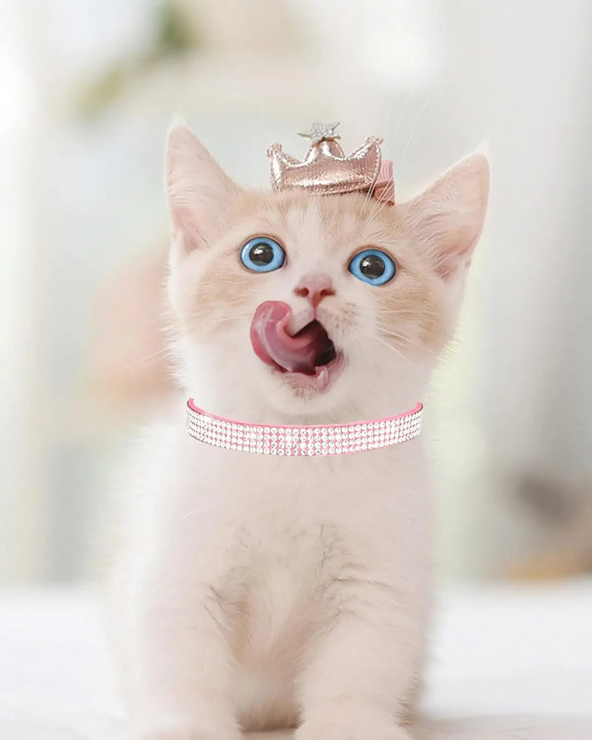 Rhinestone Velvet Breakaway Cat Collar with Bell, Adjustable Safe Kitten Collar in Pink