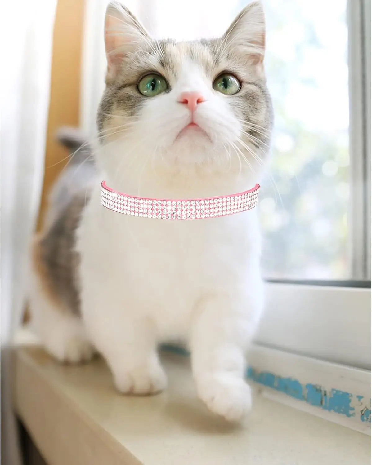 Rhinestone Velvet Breakaway Cat Collar with Bell, Adjustable Safe Kitten Collar in Pink